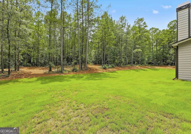 36th image of 1283 Mcintosh Trail  Lot 8 #LOT 8, Senoia, GA 30276 | MLS# 10806252