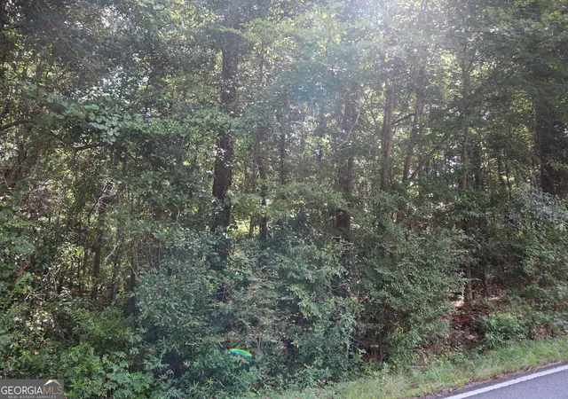 Photo 3 of Land for sale at 5514 & 5524 Bankston Lake Rd, Macon, GA 31216 | MLS# 10825818 | Listing updated on 2026-08-28