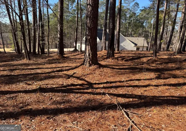 4th image of 1060 Forrest Highlands, Greensboro, GA 30642 | MLS# 10825321