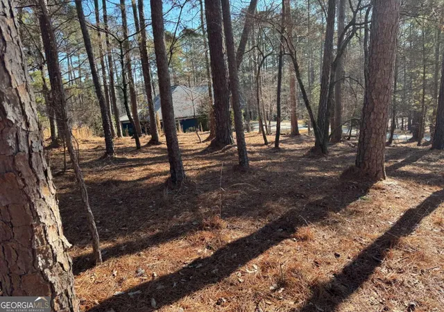 5th image of 1060 Forrest Highlands, Greensboro, GA 30642 | MLS# 10825321