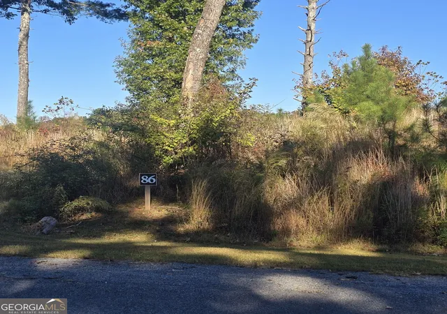 Photo 1 of Land for sale at Lot 86 River Overlook Ln, Ellijay, GA 30540 | MLS# 10878277 | Listing updated on 2026-10-26