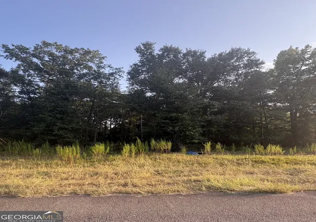 1st image of 00 Bridgemill Rd, East Dublin, GA 31027 | MLS# 10816780