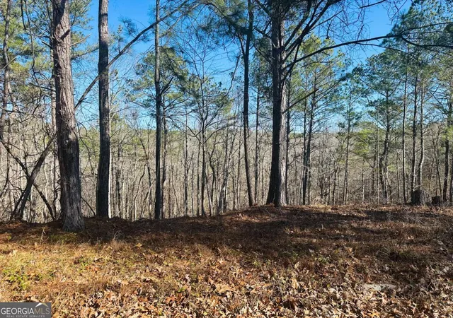 Photo 3 of Land for sale at 9590 Grande Dr, Winston, GA 30187 | MLS# 10693263 | Listing updated on 2026-08-31