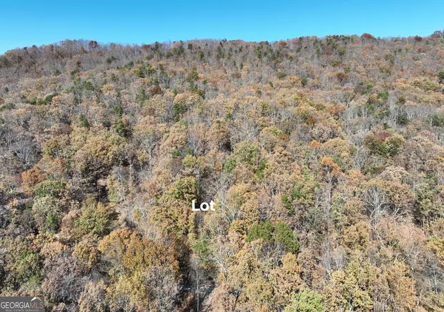 Homes for sale in Clermont, GA | Lot 34 Wauka Ridge Rd, Clermont, GA 30527 | MLS# 10788151