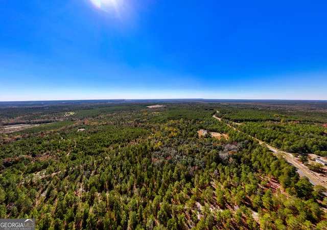 Homes for sale in Roberta, GA | 2895 Acres Horne Rd, Roberta, GA 31078 | MLS# 10798512