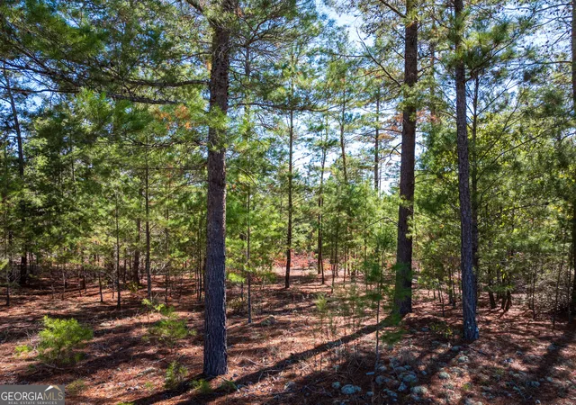 Homes for sale in Roberta, GA | 2895 Acres Horne Rd, Roberta, GA 31078 | MLS# 10798512