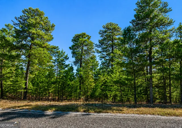 Homes for sale in Roberta, GA | 2895 Acres Horne Rd, Roberta, GA 31078 | MLS# 10798512
