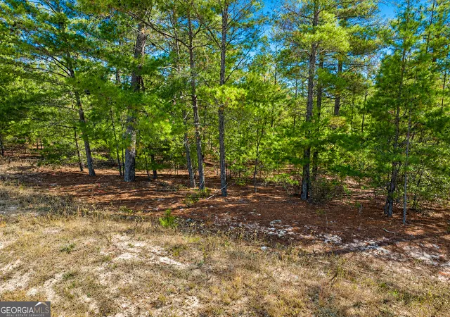 Homes for sale in Roberta, GA | 2895 Acres Horne Rd, Roberta, GA 31078 | MLS# 10798512
