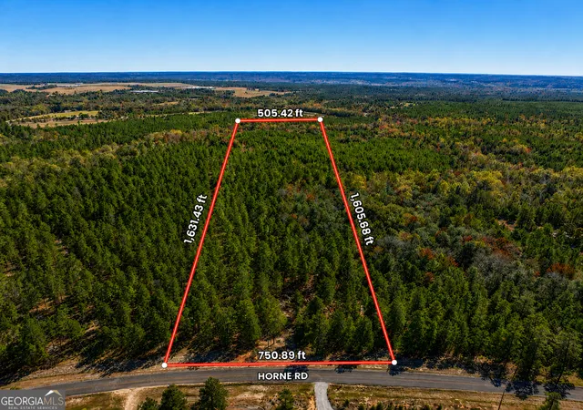 Homes for sale in Roberta, GA | 2895 Acres Horne Rd, Roberta, GA 31078 | MLS# 10798512