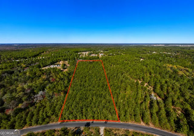 Homes for sale in Roberta, GA | 2895 Acres Horne Rd, Roberta, GA 31078 | MLS# 10798512
