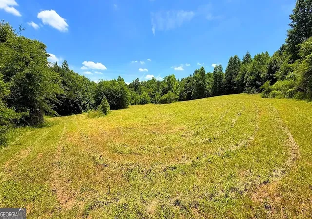Homes for sale in Bremen, GA | 0 Nix Rd, Bremen, GA 30110 | MLS# 10786017