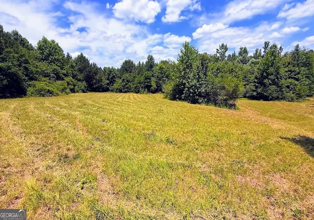 Homes for sale in Bremen, GA | 0 Nix Rd, Bremen, GA 30110 | MLS# 10786017