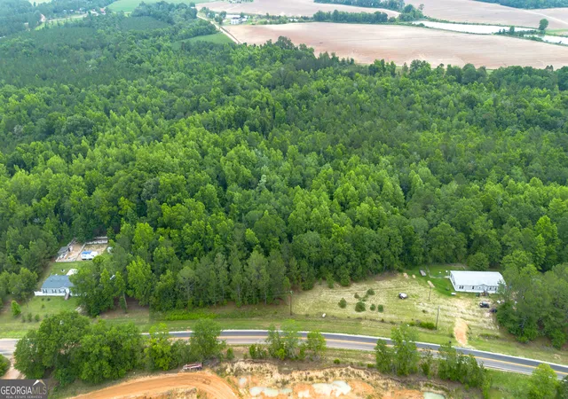 Homes for sale in Claxton, GA | 00 Carters Bridge Rd, Claxton, GA 30417 | MLS# 10774463