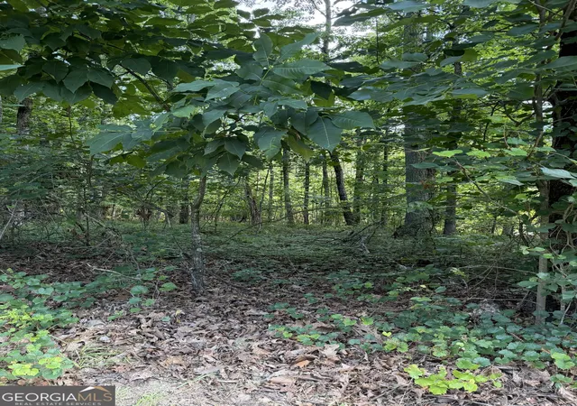 Photo 2 of Land for sale at 3355 Lakeview Pkwy, Villa Rica, GA 30180 | MLS# 10807339 | Listing updated on 2026-07-30