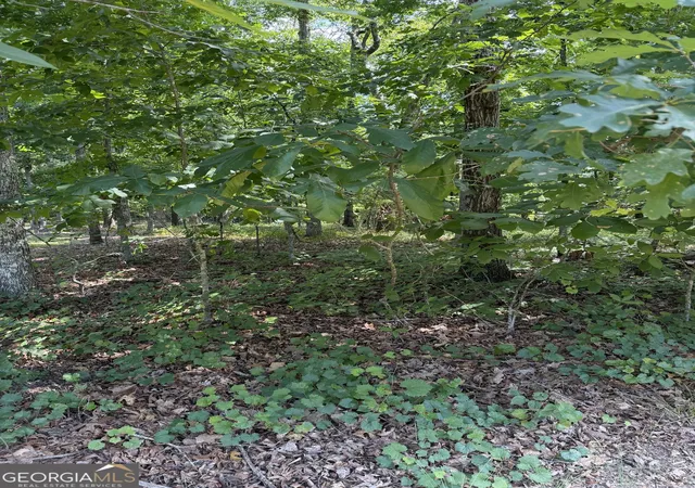 Photo 3 of Land for sale at 3355 Lakeview Pkwy, Villa Rica, GA 30180 | MLS# 10807339 | Listing updated on 2026-07-30