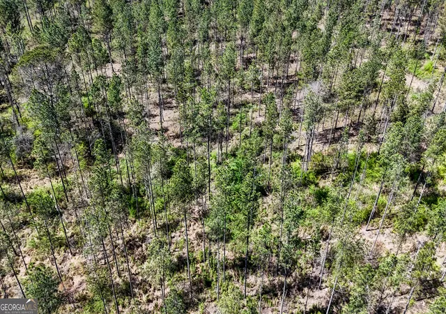 5th image of 28 Acres Youngs Farm Rd, Cedartown, GA 30125 | MLS# 10809901