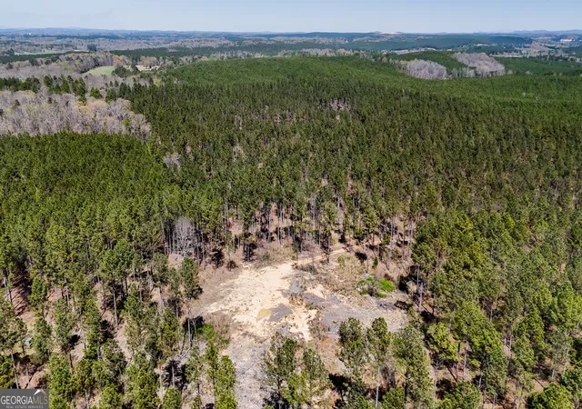 8th image of 28 Acres Youngs Farm Rd, Cedartown, GA 30125 | MLS# 10809901