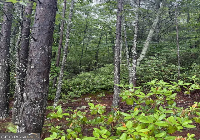 4th image of 0 441 Expressway, Tallulah Falls, GA 30573 | MLS# 10772770