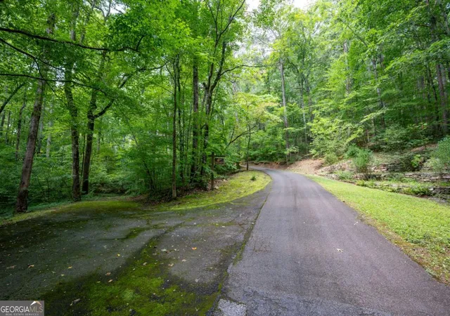 42nd image of 464 Poole Rd, Ball Ground, GA 30107 | MLS# 10824199