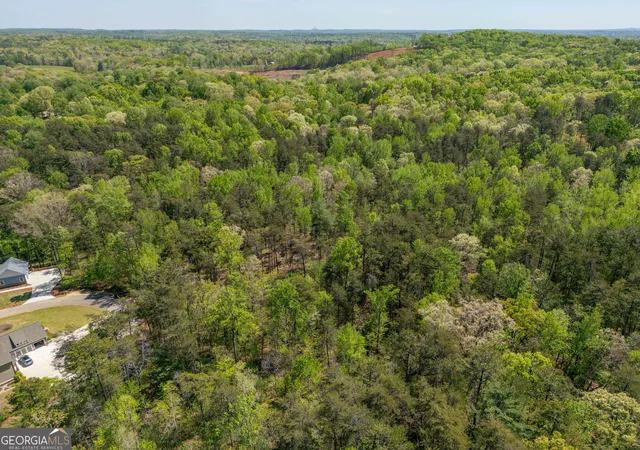 Homes for sale in Clarkesville, GA | 0 Red June Lot 1318 & 1309 Ln, Clarkesville, GA 30523 | MLS# 10738606