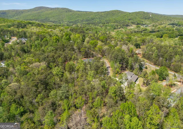 Homes for sale in Clarkesville, GA | 0 Red June Lot 1318 & 1309 Ln, Clarkesville, GA 30523 | MLS# 10738606