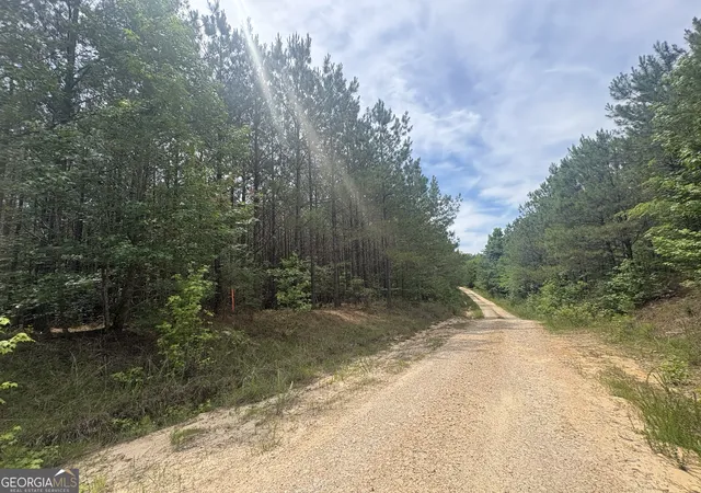 Homes for sale in Tignall, GA | 4 Callaway Road, Tignall, GA 30668 | MLS# 10780807