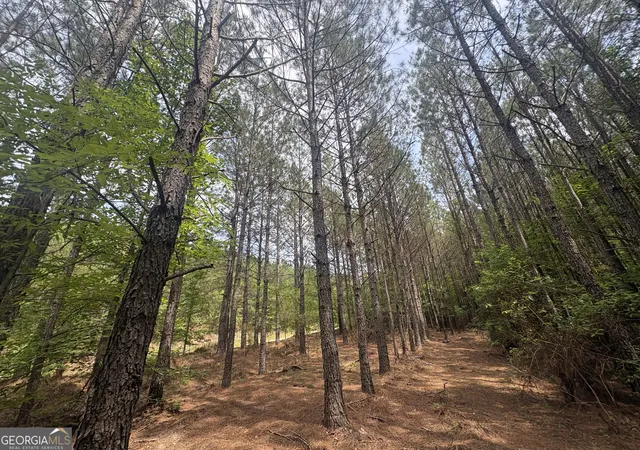 Homes for sale in Tignall, GA | 4 Callaway Road, Tignall, GA 30668 | MLS# 10780807