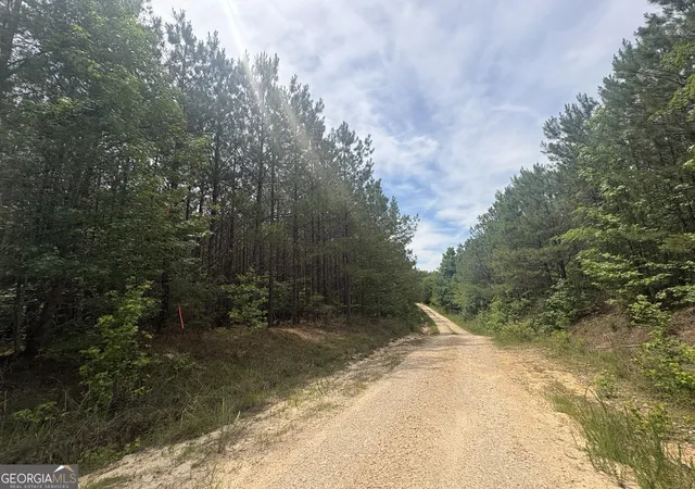 Homes for sale in Tignall, GA | 4 Callaway Road, Tignall, GA 30668 | MLS# 10780807