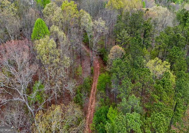 Land for sale at 78 Acres Cross Plains Rd, Carrollton, GA 30116 | MLS# 10726166