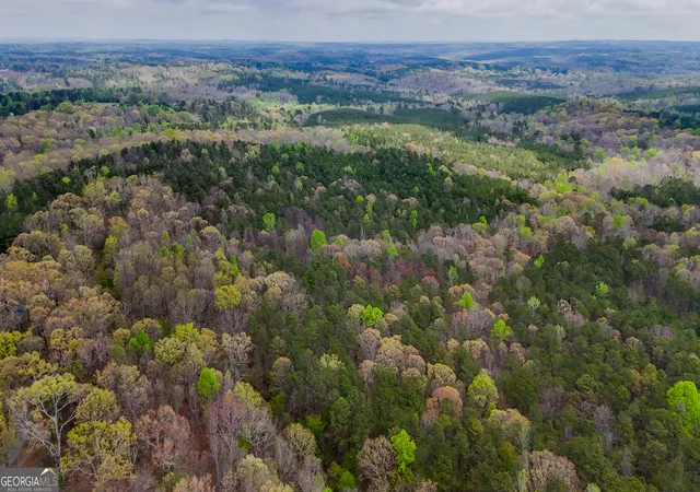 Photo 3 of Land for sale at 78 Acres Cross Plains Rd, Carrollton, GA 30116 | MLS# 10726166 | Listing updated on 2026-08-21