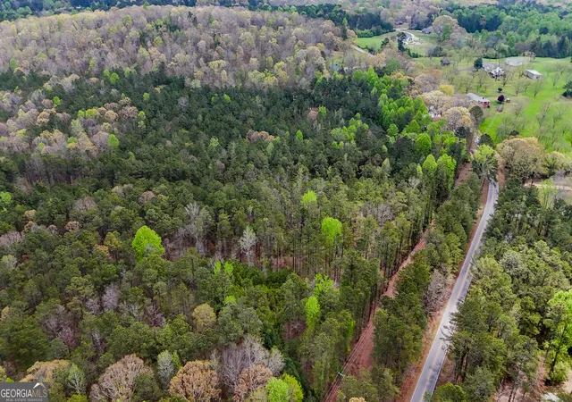 Photo 3 of Land for sale at 78 Acres Cross Plains Rd, Carrollton, GA 30116 | MLS# 10726166 | Listing updated on 2026-08-21