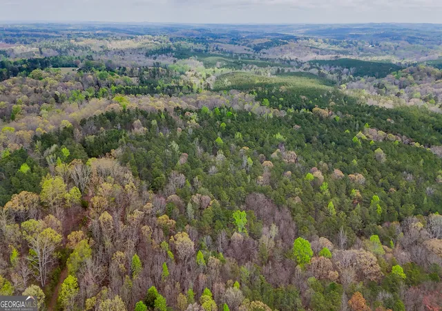 Photo 4 of Land for sale at 78 Acres Cross Plains Rd, Carrollton, GA 30116 | MLS# 10726166 | Listing updated on 2026-08-21