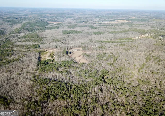 2nd image of 0 Budapest Spur, Tallapoosa, GA 30176 | MLS# 10683829