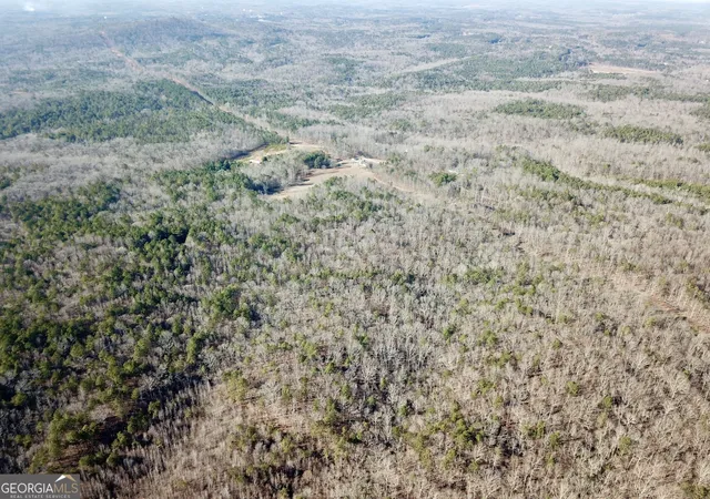 3rd image of 0 Budapest Spur, Tallapoosa, GA 30176 | MLS# 10683829