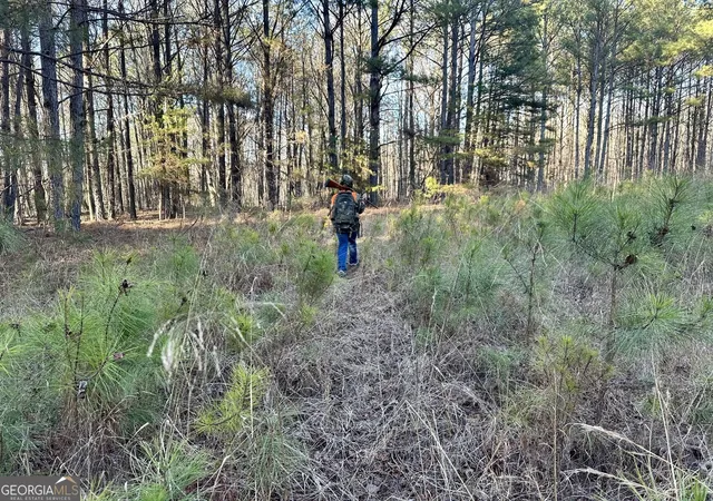46th image of 0 Budapest Spur, Tallapoosa, GA 30176 | MLS# 10683829