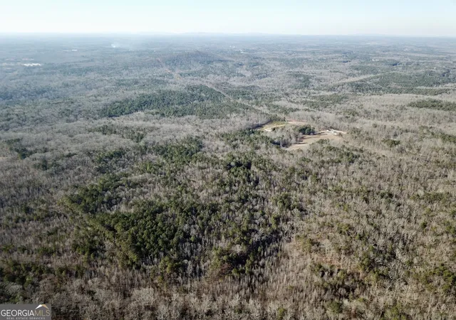 4th image of 0 Budapest Spur, Tallapoosa, GA 30176 | MLS# 10683829