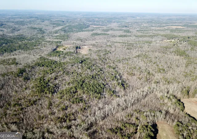 5th image of 0 Budapest Spur, Tallapoosa, GA 30176 | MLS# 10683829