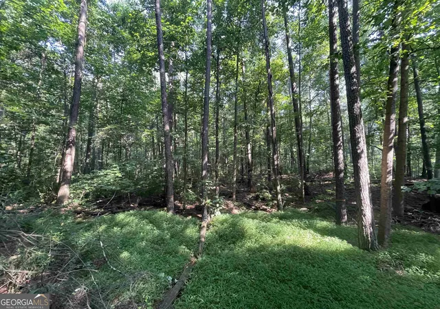 Photo 4 of Land for sale at 00 High Point Trl, Atlanta, GA 30331 | MLS# 20135542 | Listing updated on 2026-07-09