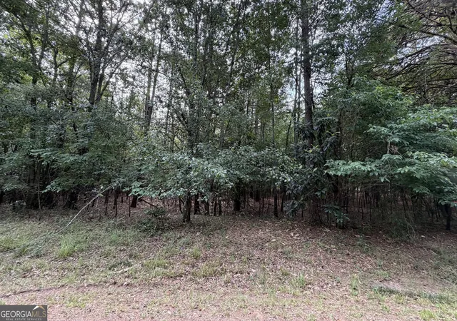 Homes for sale in Buckhead, GA | 0 Cleveland Avenue, Buckhead, GA 30625 | MLS# 10798221