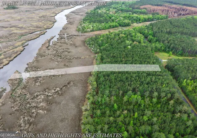 3rd image of Lot 36 James Ln, White Oak, GA 31568 | MLS# 10740434
