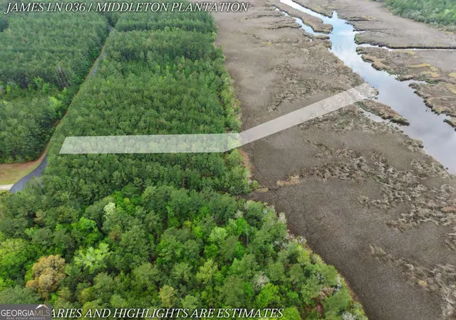 4th image of Lot 36 James Ln, White Oak, GA 31568 | MLS# 10740434