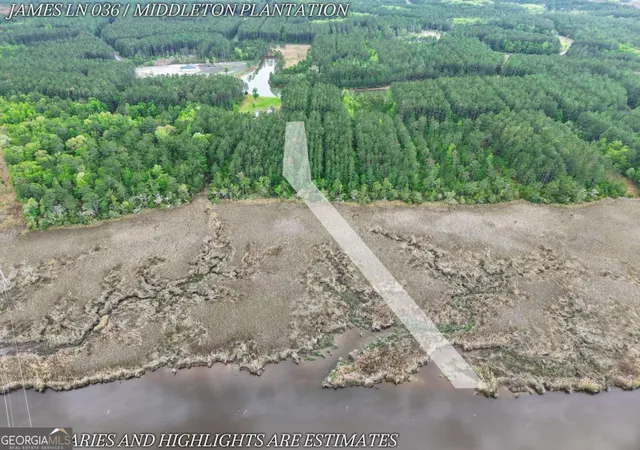 5th image of Lot 36 James Ln, White Oak, GA 31568 | MLS# 10740434