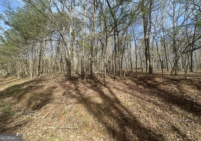 Photo 3 of Land for sale at 134 Bankston Rd, Meansville, GA 30256 | MLS# 10712918 | Listing updated on 2026-10-09