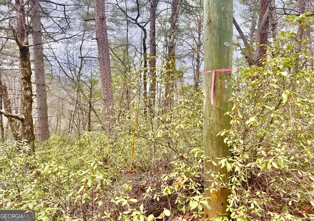 Photo 3 of Land for sale at 0 Long Mountain Dr #LOT 1 & 3, Lakemont, GA 30552 | MLS# 10715008 | Listing updated on 2026-09-02