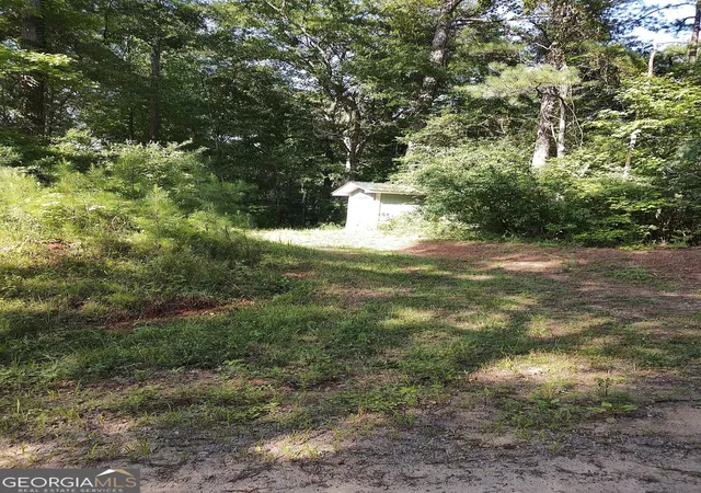 Photo 3 of Land for sale at 377 Hillsboro Lake Rd, Hillsboro, GA 31038 | MLS# 10809715 | Listing updated on 2026-09-14