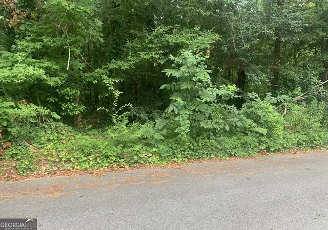 Land for sale at 1171 Washington St, Macon, GA 31204 | MLS# 10669990