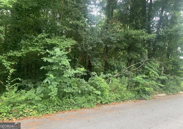Photo 3 of Land for sale at 1171 Washington St, Macon, GA 31204 | MLS# 10669990 | Listing updated on 2026-08-29
