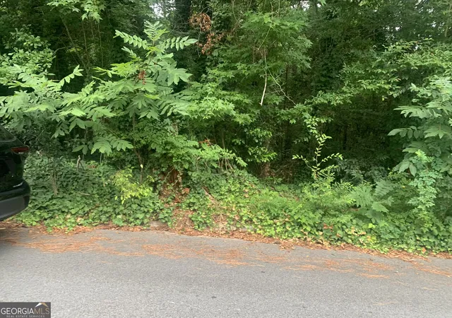 Photo 3 of Land for sale at 1171 Washington St, Macon, GA 31204 | MLS# 10669990 | Listing updated on 2026-08-29