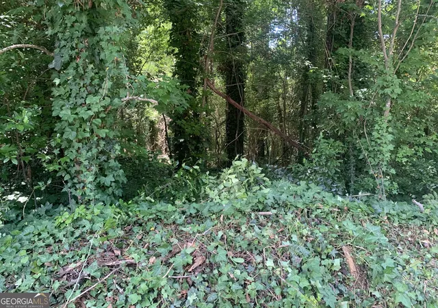 Photo 4 of Land for sale at 1171 Washington St, Macon, GA 31204 | MLS# 10669990 | Listing updated on 2026-08-29