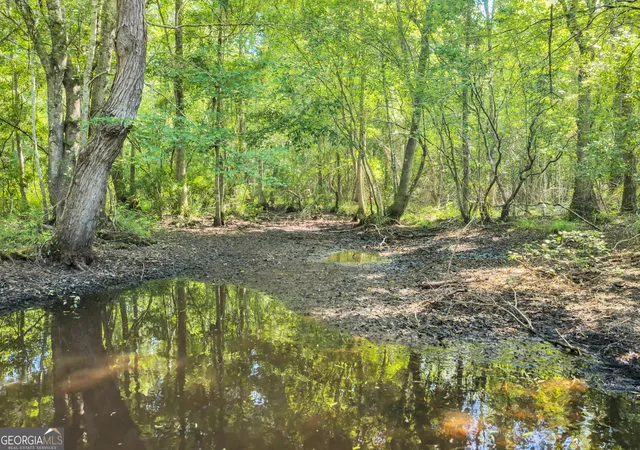 5th image of Underwood Bishop Chapel Church Rd, Swainsboro, GA 30401 | MLS# 10809656